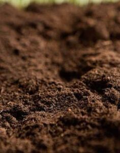 Dirt