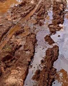 Silt